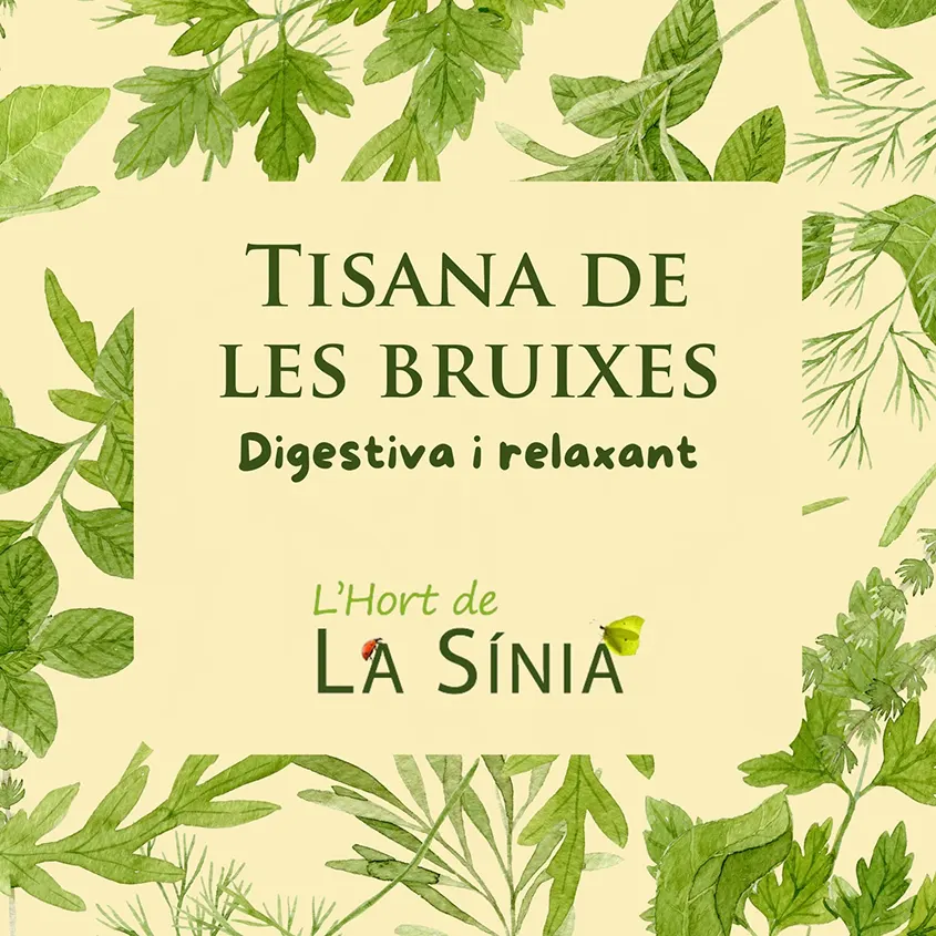 imatge cartell Tisana de les Bruixes